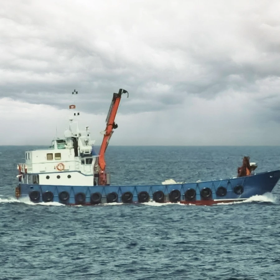 Fishing Operations with Professional Fishing Cranes