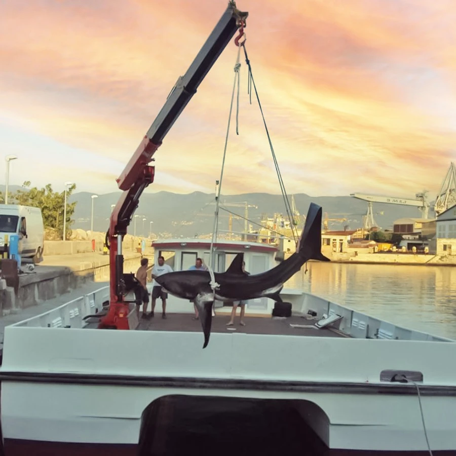 Fishing Operations with Professional Fishing Cranes
